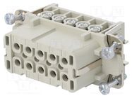 Connector: HDC; female; EPIC H-A; PIN: 10; 10+PE; size H-A 10; 16A LAPP