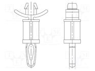 PCB distance; polyamide 66; L: 15.9mm; latch/latch; natural DREMEC