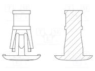 Assembly stud; polyamide 66; L: 6.4mm; snap fastener; natural DREMEC