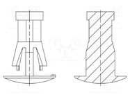 Assembly stud; polyamide 66; L: 7.8mm; snap fastener; natural DREMEC