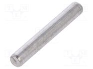 Cylindrical stud; A2 stainless steel; BN 684; Ø: 3mm; L: 20mm BOSSARD