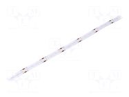 COB LED tape; blue; LED/m: 528; 10mm; IP20; 10W/m; CRImin: 80; 24VDC WISVA OPTOELECTRONICS