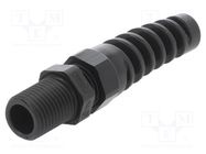 Cable gland; with strain relief,with long thread; PG7; IP68 HUMMEL