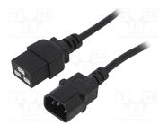 Cable; 3x1mm2; IEC C14 male,IEC C19 female; PVC; 1.8m; black; 10A 