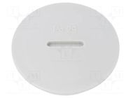 Stopper; PG29; IP54; polyamide; light grey; SKINDICHT®; 8mm LAPP