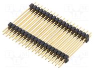 Connector: pin strips; pin header; male; PIN: 36; straight; 2.54mm FISCHER ELEKTRONIK