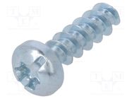 Screw; for plastic; 3x10; Head: cheese head; slotted,Torx®; zinc 