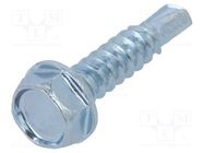 Screw; for metal; with flange; 4.2x19; Head: hexagonal; 7mm; zinc BOSSARD