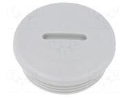 Stopper; M32; 1.5; IP54; polyamide; grey; V-N-FS; Thread: metric HUMMEL