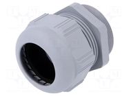 Cable gland; PG42; IP68; polyamide; dark grey; SKINTOP® LAPP