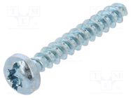 Screw; for plastic; 4x20; Head: cheese head; slotted,Torx®; zinc 