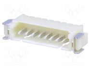 Connector: wire-board; socket; male; PIN: 8; 1A; 250V; horizontal ADAM TECH
