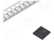 IC: SoC; Bluetooth Low Energy,WiFi ESPRESSIF