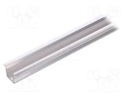 Profiles for LED modules; natural; L: 1m; SMART-IN10; aluminium 