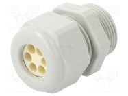 Cable gland; multi-hole; PG16; IP65; polyamide; grey; Holes no: 6 HUMMEL