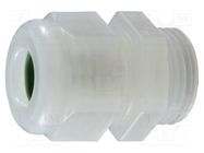 Cable gland; NPT1/2"; IP68; PVDF; natural; HSK-K-PVDF 