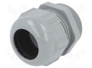 Cable gland; PG36; IP68; polyamide; dark grey LAPP