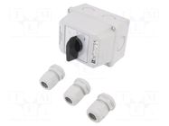 Switch: cam switch; Stabl.pos: 3; 16A; L-0-P; flush mounting; Pos: 3 SPAMEL