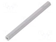 Screwed spacer sleeve; 60mm; Int.thread: M2,5; hexagonal DREMEC