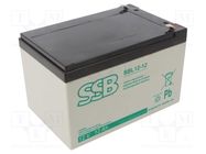 Re-battery: acid-lead; 12V; 12Ah; AGM; maintenance-free; 4.1kg 