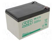 Re-battery: acid-lead; 12V; 12Ah; AGM; maintenance-free; 4.1kg 