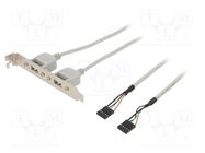 Adapter; brackets on slot; USB A socket x2,5pin pin header x2 BQ CABLE