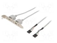 Adapter; brackets on slot; USB A socket x2,5pin pin header x2 BQ CABLE