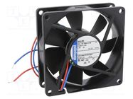 Fan: DC; axial; 24VDC; 80x80x25mm; 79m3/h; 37dBA; ball; 3600rpm EBM-PAPST