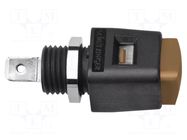 Laboratory clamp; brown; 70VDC; 16A; screw,spring clamp; nickel SCHÜTZINGER