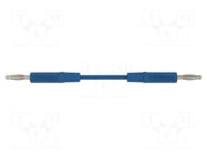 Test lead; 70VDC; 33VAC; 10A; banana plug 2mm,both sides; blue SCHÜTZINGER