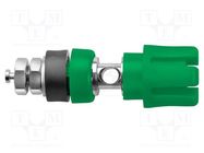 Connector: 4mm banana; socket; 30A; 60VDC; 50mm; green; on panel SCHÜTZINGER