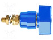 Laboratory clamp; blue; 1kVDC; 63A; on panel,screw; brass SCHÜTZINGER