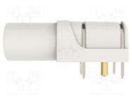 Connector: 4mm banana; socket; 24A; 1kV; white; gold-plated; PCB SCHÜTZINGER