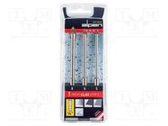 Drill set; steel; blister; PROFI GLAS; glass; 5mm,6mm,8mm; 3pcs. ALPEN-MAYKESTAG