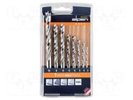 Drill set; for wood; steel; blister; PROFI HOLZ; wood,chipboard ALPEN-MAYKESTAG