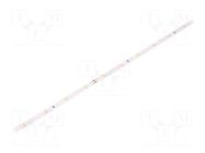 LED tape; white warm; LED/m: 28; 8mm; IP20; 120°; 3W/m; CRImin: 80 FOSE