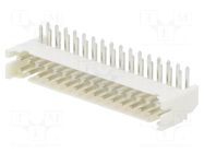 Connector: wire-board; socket; male; PIN: 32; 2A; 100V; angled; THT ADAM TECH