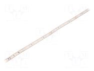 LED tape; white warm; LED/m: 56; 10mm; IP68; 120°; 6W/m; CRImin: 80 FOSE