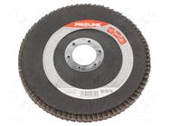 Flap grinding wheels; Ø: 125mm; Øhole: 22.2mm; Granularity: 60 PROLINE