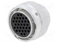 Connector: wire-wire; plug; female; HD30; PIN: 31; straight; Size: 16 DEUTSCH