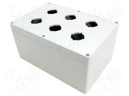 Enclosure: for remote controller; IP66; UL94-5V; X: 160mm; Y: 240mm HAMMOND