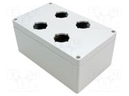 Enclosure: for remote controller; IP66; UL94-5V; X: 120mm; Y: 200mm HAMMOND