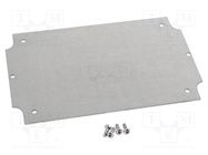 Mounting plate; steel 