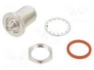 Adapter; N socket,SMA socket; Insulation: PTFE; 50Ω AMPHENOL RF