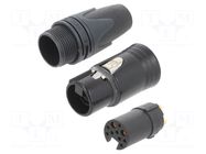 Connector: XLR; plug; female; XX-14; 3A,16A; PIN: 10(2+8); straight NEUTRIK