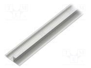 Profiles for LED modules; natural; L: 1m; WAY10; aluminium TOPMET