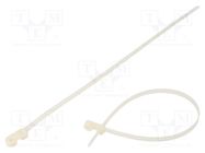 Cable tie; with a hole for screw mounting; L: 420mm; W: 7.6mm FIX&FASTEN