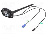 Antenna; car top; 0.2m; AM,FM,GPS; with amplifier; 0.45m 4CARMEDIA