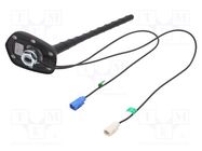 Antenna; car top; 0.2m; AM,FM,GPS; Alfa Romeo,Fiat,Lancia; 0.45m 4CARMEDIA