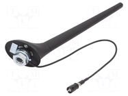Antenna; car top,automotive; 0.2m; AM,FM; with amplifier; 0.275m 4CARMEDIA